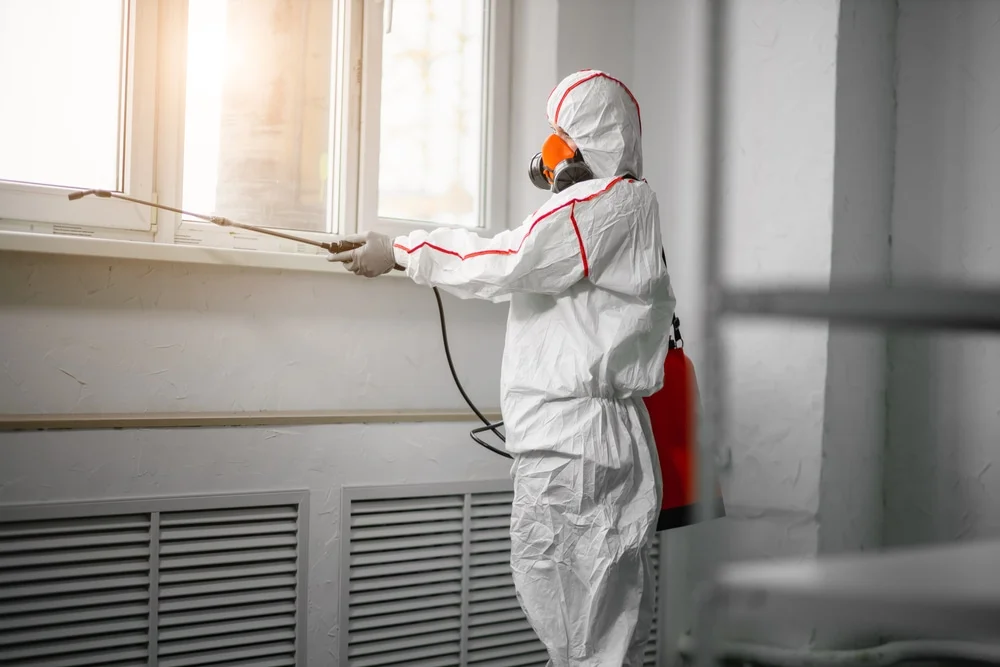 Professional mold remediation services in Holdingford, MN
